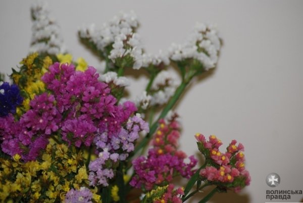 У Луцьку відкрилася виставка відомої художниці. ФОТО